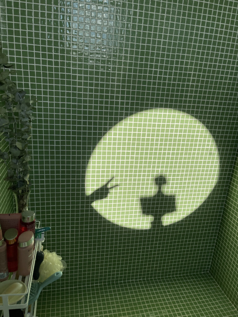 Personnaliser votre salle de bain avec une belle douche à l'italienne