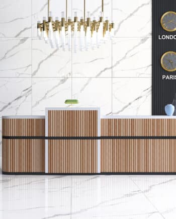 Porcelaine Statuario Goya, joli marbre 24x24, parfait pour un plancher